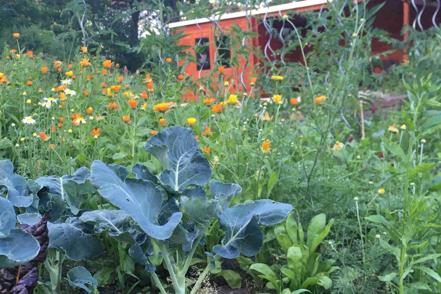 Im Begegnungsgarten BeetKultur